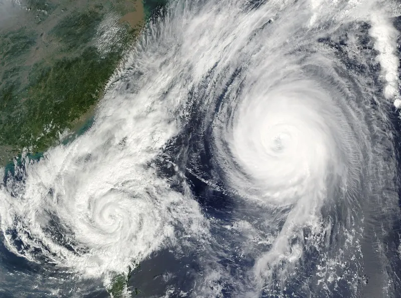 Twenty Minutes of Nothing Happening: The Japanese Variety Segments America Can't Stop Watching